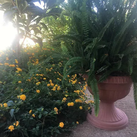 Fra Mare A Campagna-short Lets Holiday home Modica